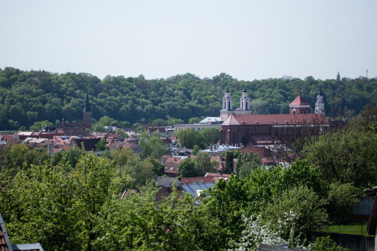 Loft On Owl Hill Lägenhet Kaunas Exteriör bild
